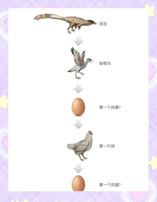 先有鸡还是先有蛋？先有红绿灯还是先有汽车？答案你猜不到！