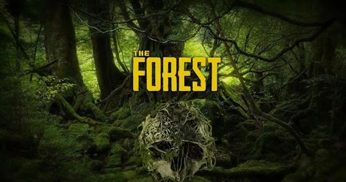 The Forest全方位解析：从新手到高手的进阶之路
