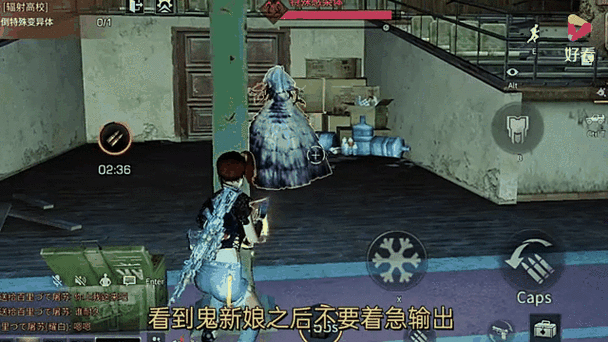 猪兔大战秘籍哪里找？最全通关技巧都在这了！