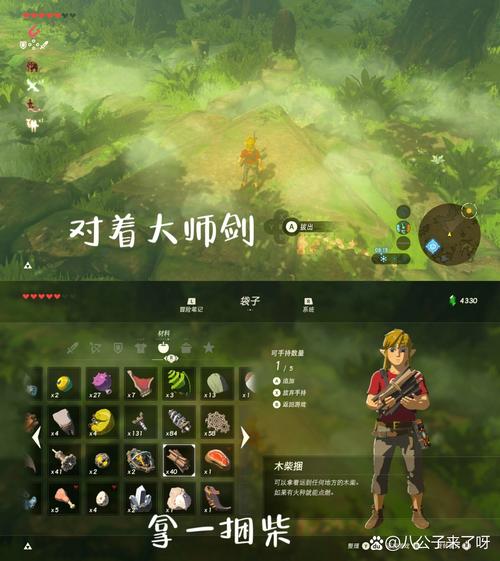 林克之剑和大师剑哪个好？对比分析一看便知！