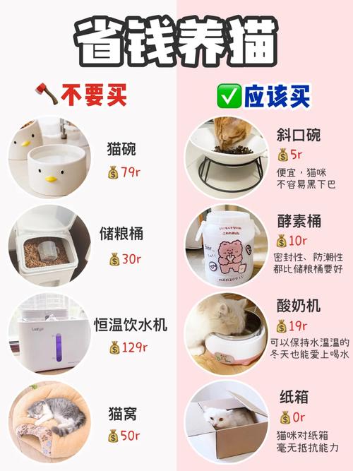 随机箱怎么玩才划算？省钱攻略让你不花冤枉钱！