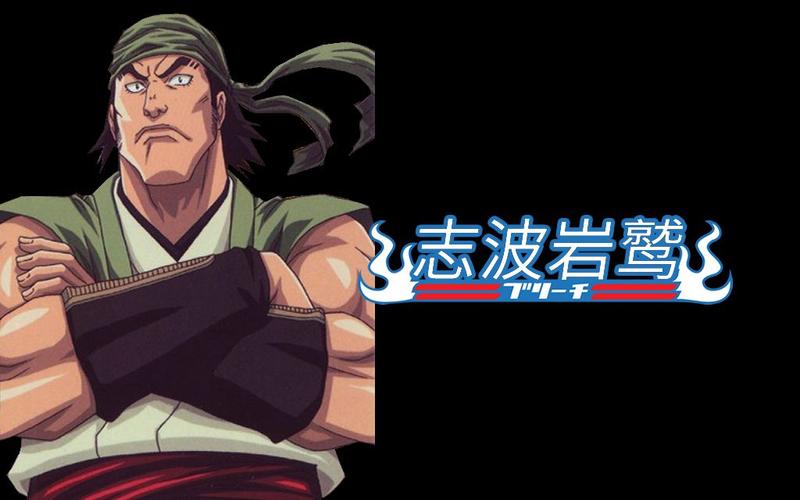 揭秘死神：志波岩鹫的悲惨身世与复仇之路