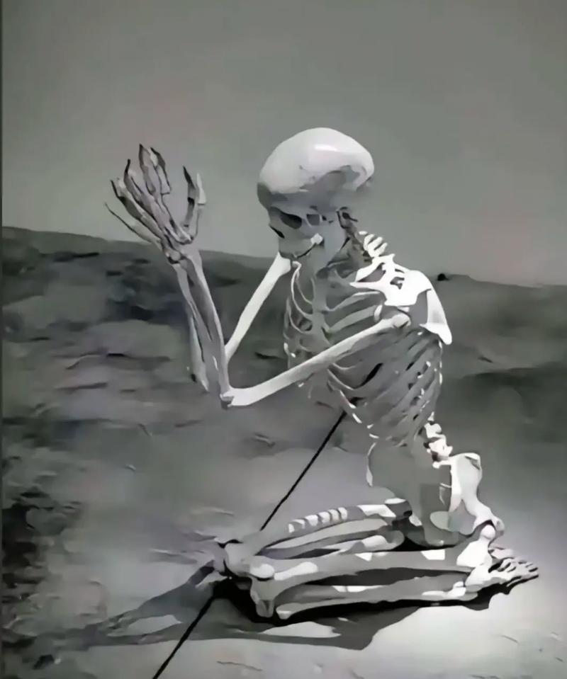 白骨荒野太可怕了！普通人千万不要轻易尝试！