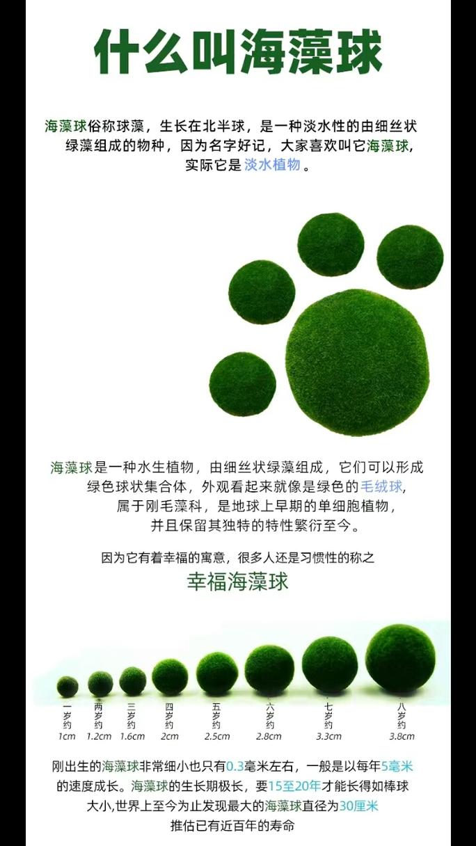 哪种动物喜欢把海藻缠在身上？答案万万想不到！