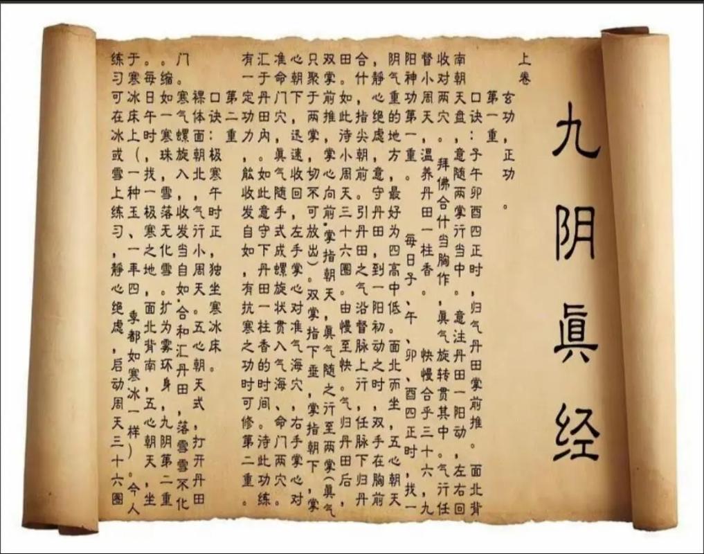 九阴真经古谱武学：龙爪手与其他绝世武功