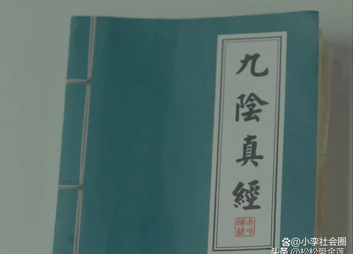 九阴真经古谱武学：龙爪手与其他绝世武功