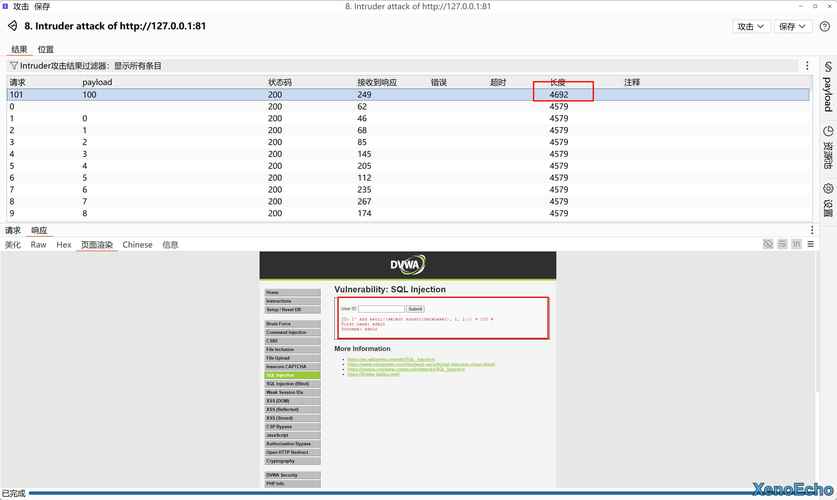 啊D注入工具：快速扫描SQL注入漏洞的实用工具