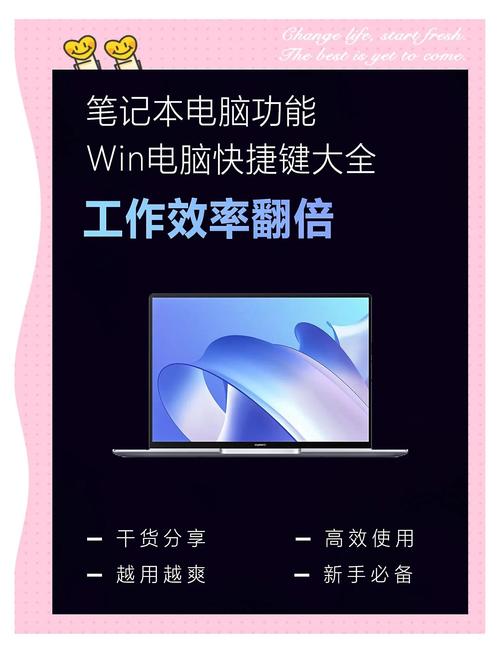 WinADR下载安装及使用技巧，小白也能轻松上手