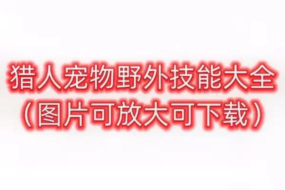 猎人宝宝抓捕技巧：高效驯服宠物的实用方法分享