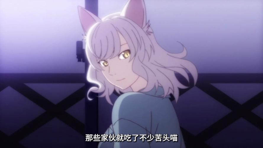 猫咪物语2：精彩片段抢先看，感受人与猫咪的温情故事