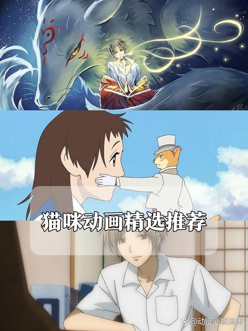 猫咪物语2：精彩片段抢先看，感受人与猫咪的温情故事
