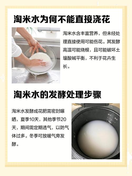 淘米用什么水营养保存更多？凉水淘米小技巧