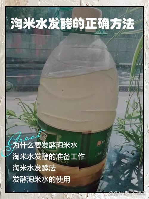 淘米用什么水营养保存更多？凉水淘米小技巧