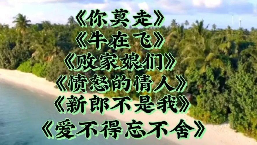 你莫走歌曲歌词表达的爱情有多么真挚