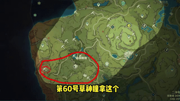 原神千来神祠全解密攻略：轻松获取所有宝箱