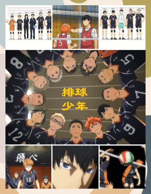 热血沸腾的排球少年第七集，不容错过的精彩瞬间！