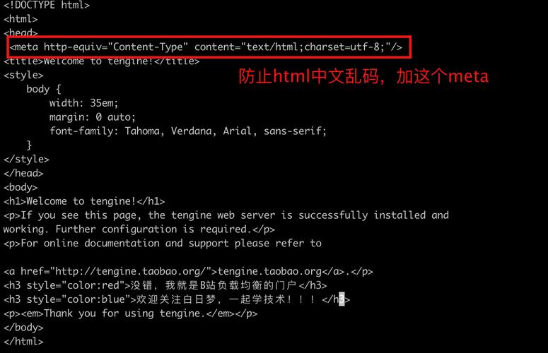 B站突然404了？解决办法及常见问题汇总