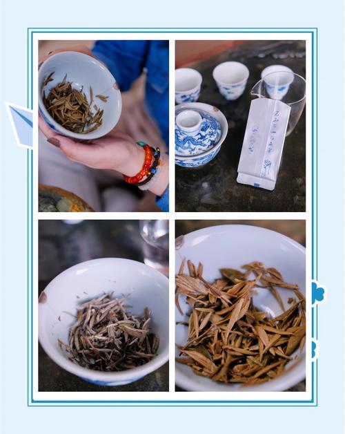 365茶坊：在茶香中沉淀，在宁静中升华自我