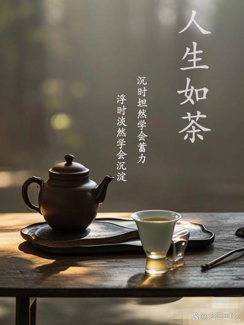 365茶坊：在茶香中沉淀，在宁静中升华自我