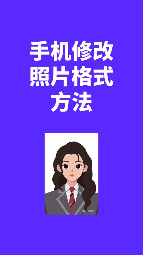 Poco图客免费版下载：手机照片管理与编辑的最佳选择