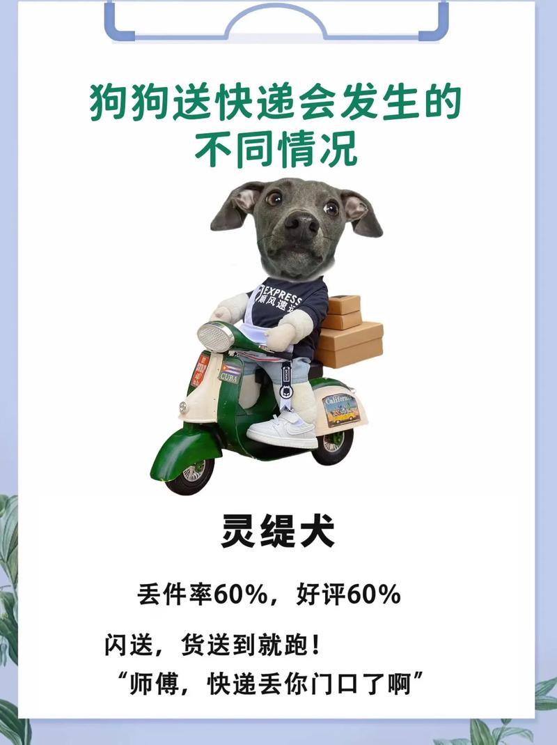 告别邮寄！远程写狗和加密狗共享的实用技巧