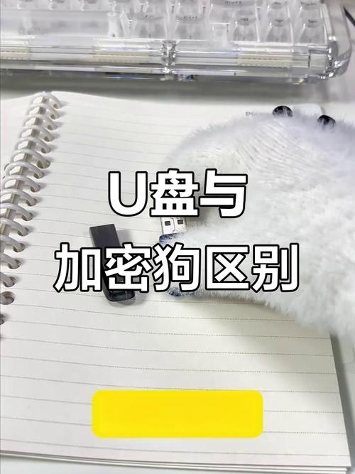 告别邮寄！远程写狗和加密狗共享的实用技巧
