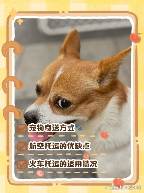 告别邮寄！远程写狗和加密狗共享的实用技巧