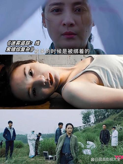 23-3迷雾：烧脑剧情引人入胜，结局反转令人震惊
