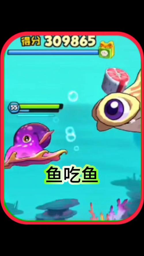 小飞象章鱼：深海精灵的优雅舞姿，你了解多少？
