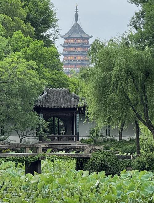 揭秘苏州园林之母拙政园：一段悠久的历史与文化传承
