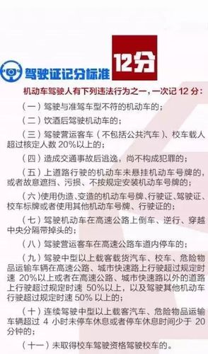 驾驶本查询：快速掌握驾驶证信息，轻松搞定违章查询！