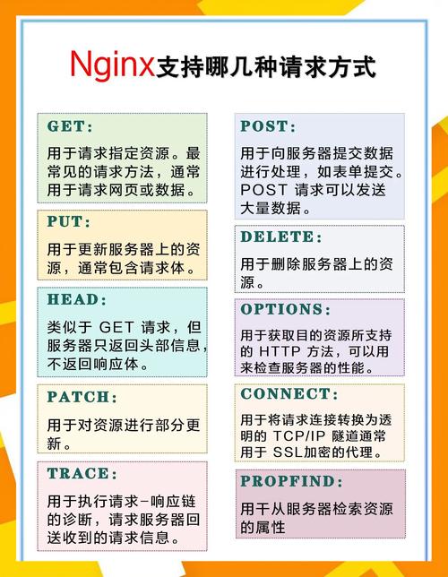 RARBG关站了？网友一片哀嚎！寻找替代网站指南