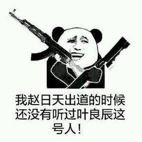 叶良辰微博首秀，王思聪赵日天齐来“叫板”