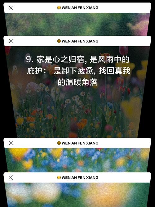 最爱的家人：治愈系家庭剧，带你感受家的温暖和力量