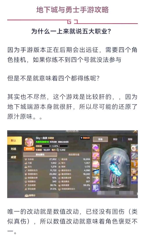 DNF圣骑士攻略：新手快速上手指南，轻松变大神