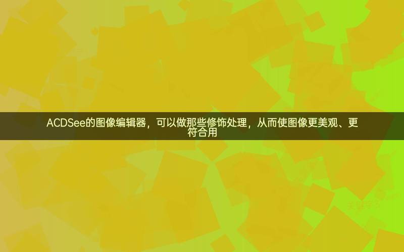 ACDSee图像编辑软件：功能强大，小白也能轻松掌握