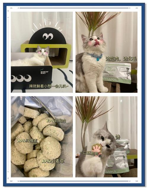 我是你爸爸：那些年，我和猫主子的日常