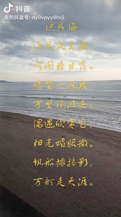 抖音百万赞神曲：走过这片海，你听过吗？
