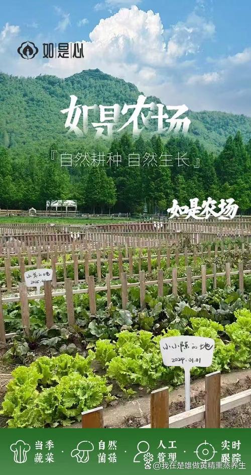 农场小助手：解放双手，轻松管理你的农场！