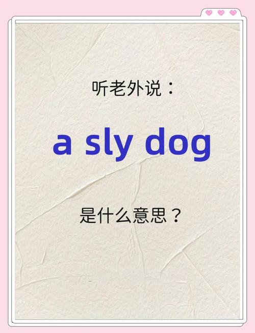揭秘狡猾的维克斯：你所不知道的真相