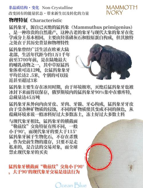 猛犸梗出处在哪？TI10决赛LGD输给猛犸的真相！