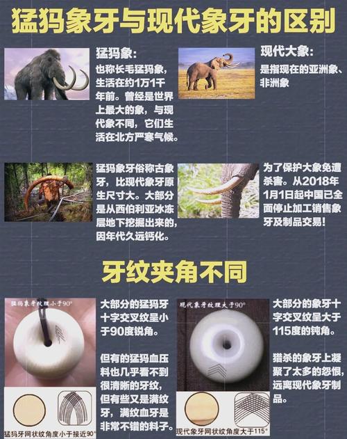 猛犸梗出处在哪？TI10决赛LGD输给猛犸的真相！