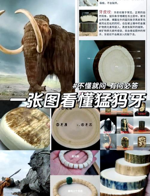 猛犸梗出处在哪？TI10决赛LGD输给猛犸的真相！