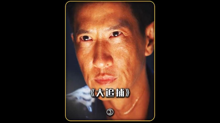 张家辉大追捕：揭秘背后真相，父爱与罪恶的完美融合
