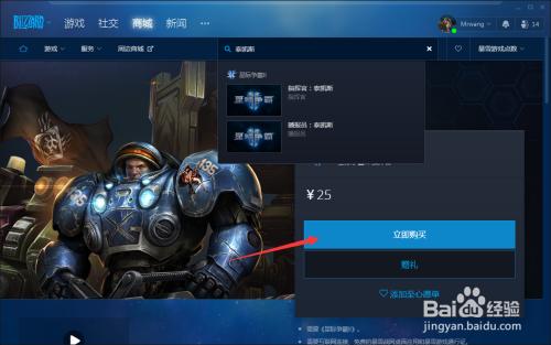 轻松搞定战网点数充值：新手玩家必看详细步骤