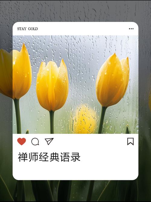 无尽的旅程：艺术与人生的完美融合