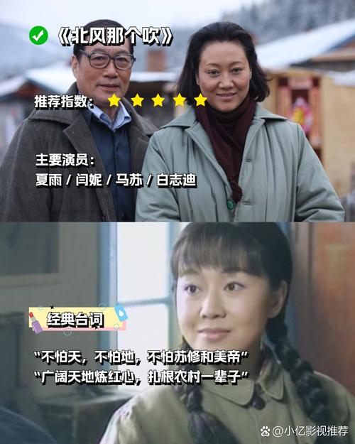 北风那个吹：这部剧为何成为一代人的青春记忆？