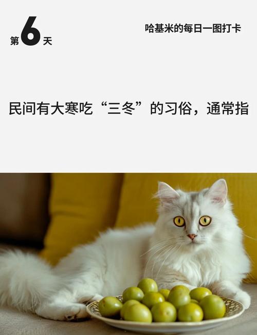 大寒吃三冬的习俗，你了解多少？