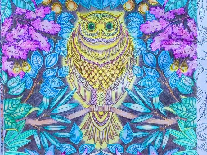 秘密花园涂色用什么笔比较好？选对画笔颜色更鲜艳。