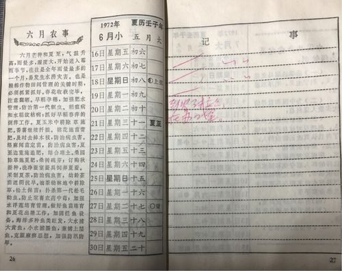 救国BBS：一个时代的缩影与网民的集体记忆